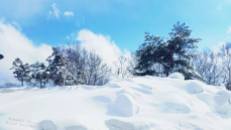 Snow Powder ที่ จ. นากาโน่ สวรรค์ของเหล่าคนรักสกี